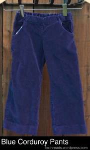 Blue Corduroy Pants